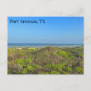 Search for grasses postcards Landscape