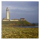 Search for pigeon tiles Coast