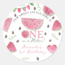 Search for cute watermelon stickers One in a melon