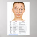 Search for skin care posters Beauty