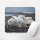 Search for tranquility mouse mats Autumn