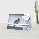 Search for blue jay birthday cards Animal