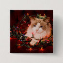 Search for cat looking badges Horizontal