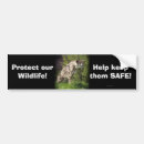Search for big cats bumper stickers Felines