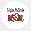 Search for belgian gift wrap Dogs