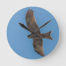 Search for kite art Wildlife