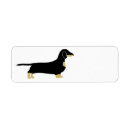 Search for doxie return address labels Sausage dog