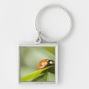 Search for ladybird key rings Wildlife