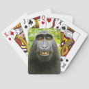 Search for monkey playing cards Funny animals