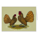 Search for sebright bantam Rooster