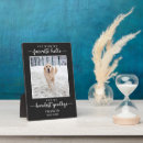 Search for favorite hello hardest goodbye Rainbow bridge