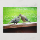 Search for tenderness postcards Nature
