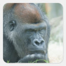 Search for contemplation stickers Wildlife