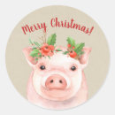 Search for pigs stickers Modern