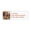 Search for doxie return address labels Daschund