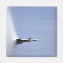 Search for hornet magnets Fighter aircraft