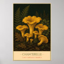 Search for mycology posters Mushroom