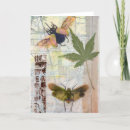 Search for bug note cards Insects