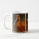 Search for scarlet mugs Wildlife