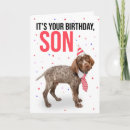 Search for hol cards Dog