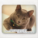 Search for loves kittens mouse mats Kitty