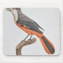 Search for collective mouse mats Birds