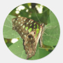 Search for tropical butterfly stickers Insects
