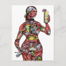 Search for anatomy postcards Illustration