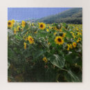 Search for sunflower puzzles Happy