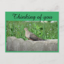 Search for expression photography Greetings