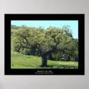 Search for mighty posters Photography