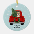 Search for border collie christmas tree decorations Cute