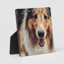 Search for pet memorial plaques Rainbow bridge