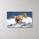 Search for sea horse canvas prints Bob langrish