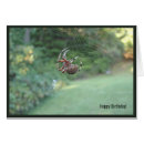 Search for spider birthday cards Web