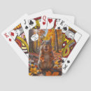Search for funny squirrel playing cards Humour