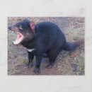 Search for devil postcards Tasmania