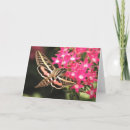 Search for moth cards invites Photography