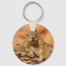 Search for chilled key rings Wildlife