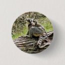 Search for be the lemur badges Wildlife