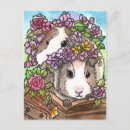 Search for piggies postcards Guinea pig