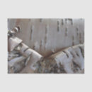 Search for tree bark tissue paper Country