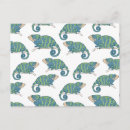 Search for chameleon postcards Wildlife