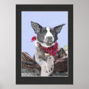 Search for heeler art Dogs