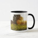 Search for sunflower fields mugs Farm