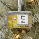 Search for volcano christmas tree decorations Hawaii