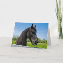 Search for friesians cards Animal