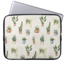 Search for flower pots cases Succulent