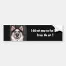 Search for huskies bumper stickers Funny