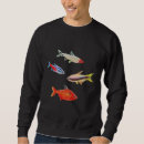 Search for tetras Aquarium